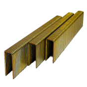 TJEP PZ 16G X 28MM DP GALV STAPLES